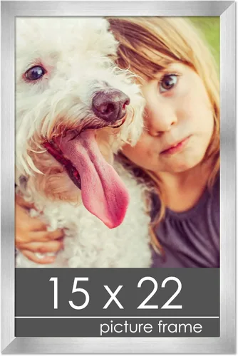 Vista 118 de Marco de madera de peltre plateado de 3 x 4 pulgadas, acrílico UV, respaldo de tablero de espuma y accesorios para colgar, marco de 3 x 4 pulgadas