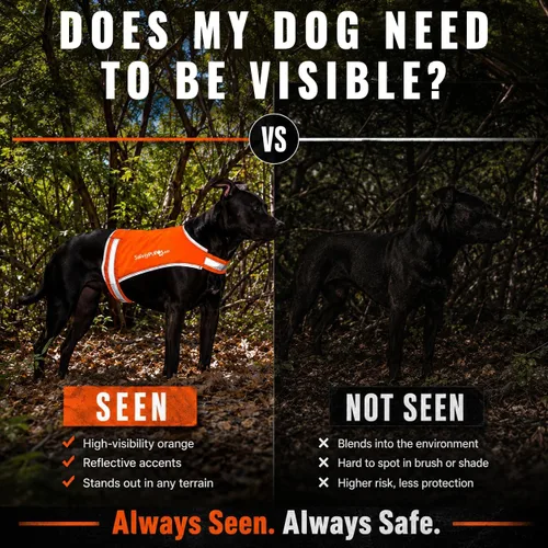Vista 3 de Chaleco naranja Blaze para perro, edición Lite. Chaqueta reflectante para perro de alta visibilidad con cobertura de espalda media. Chaleco de caza
