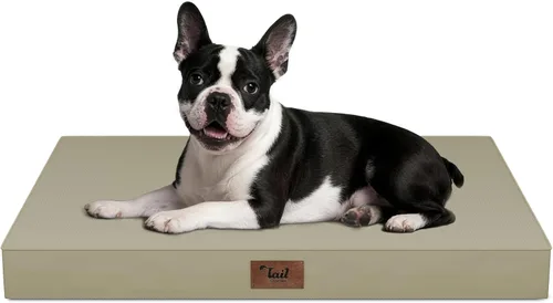 Vista 77 de Cama para perros y gatos pequeños, impermeable, para jaula de huevos, espuma ortopédica con funda Oxford lavable y extraíble, color verde Amy