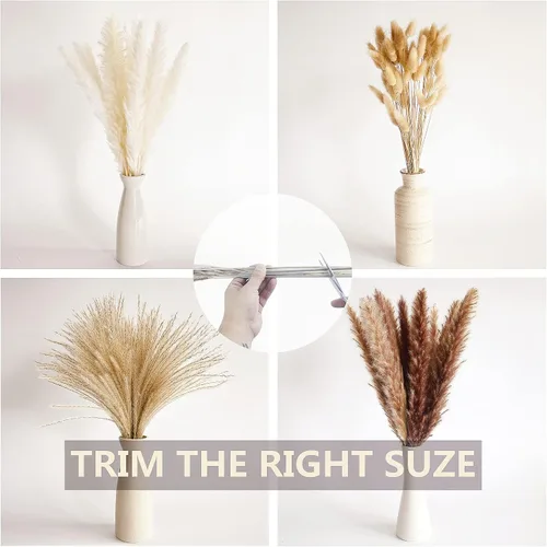 Vista 6 de 100 piezas pequeñas de hierba de pampas boho, 17" pampas secadas naturalmente, decoración de hierba de pampas para bodas, decoraciones de fiesta