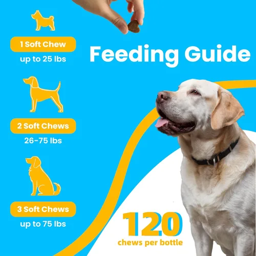 Vista 5 de Suplemento avanzado para cadera y articulaciones para perros, glucosamina para perros con MSM, condroitina, fórmula antiinflamatoria natural para un