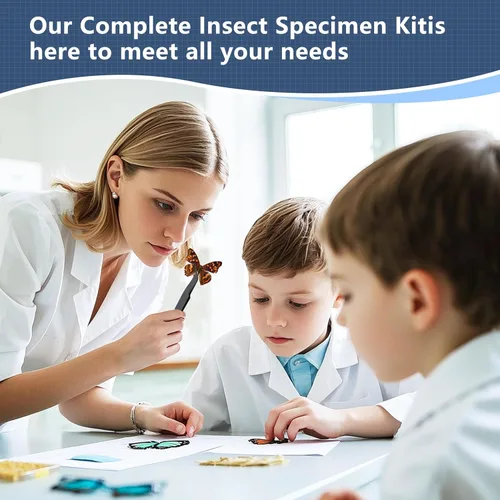 Vista 5 de 304 Alfileres de Acero Inoxidable para Insectos – 300 piezas Agujas de Especímenes de Entomología y 200 Agujas de Cuentas para Especímenes