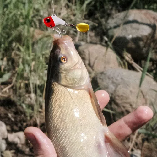 Vista 2 de 3 piezas de señuelo anzuelo de pesca señuelo de pesca cebo artificial 3D ojos señuelo de pesca suave cebos de un solo gancho para perca, trucha