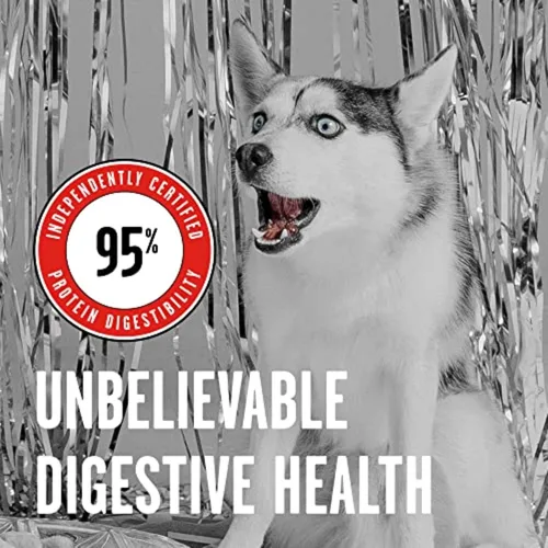 Vista 4 de BIXBI Rawbble - Alimento liofilizado para perros, receta de res, 4.5 onzas, 98% de carne y órganos, sin rellenos, comida cruda para perros apta