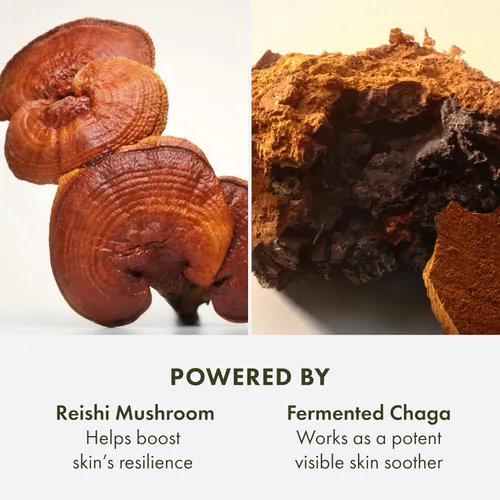 Vista 5 de Origins Mega-Mushroom Soothing Treatment Lotion Great for Sensitive Skin With Reishi Mushroom