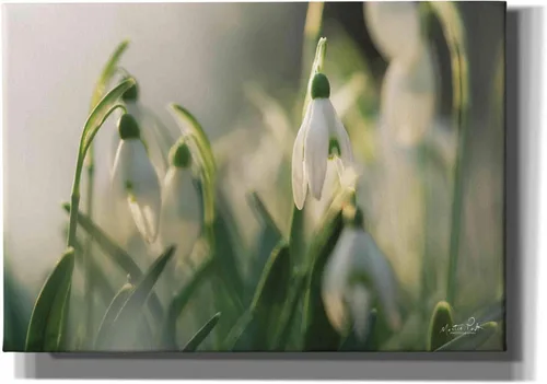 Vista 4 de Epic Graffiti 'Snowdrops' de Martin Podt, arte de pared en lienzo, 18 x 12 pulgadas