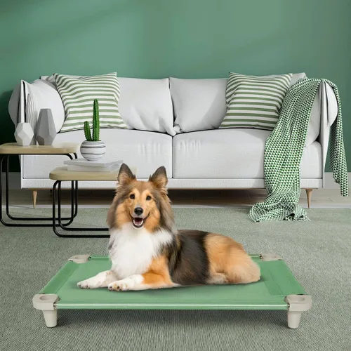 Vista 6 de Acrimet Cama elevada para perros y mascotas, cuna de malla lavable y transpirable, marco de acero inoxidable, uso en interiores y exteriores, se