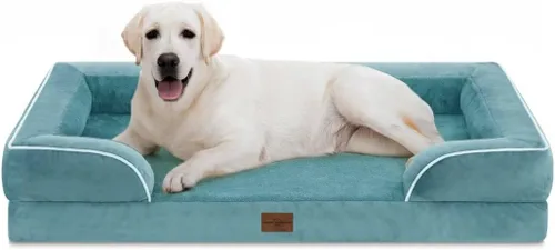 Vista 103 de Comfort Expression - Cama ortopédica para perros pequeños, 20 x 14 pulgadas, cama impermeable y de apoyo de espuma con cojines removibles, sofá