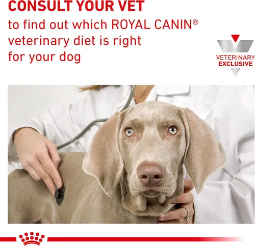Vista 10 de Royal Canin Veterinary Diet Canine Urinary SO Alimento seco para perros adultos, bolsa de 6.6 libras