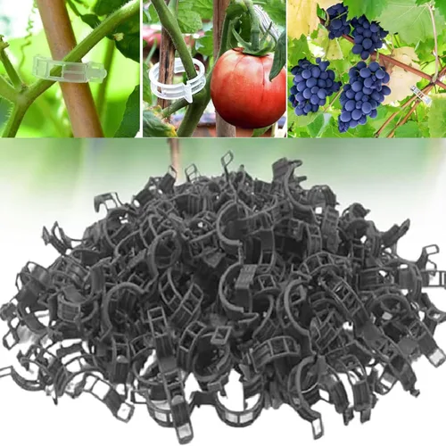 Clips de soporte para plantas, 100/150/300 piezas de clips para plantas trepadoras transparentes para tomate uva, clip de jardín para plantas, clips