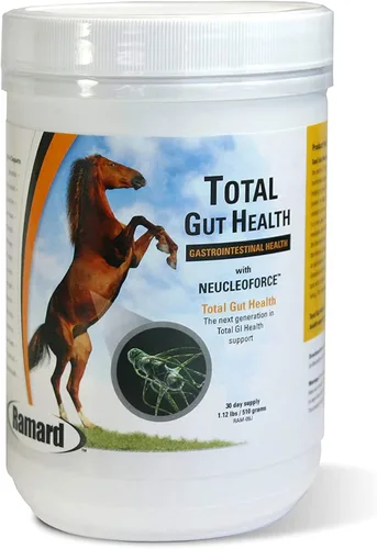 Vista 10 de Ramard Total Gut Health Equine Digestive Support - Suplemento de salud intestinal equino probióticos para caballos, vitaminas intestinales