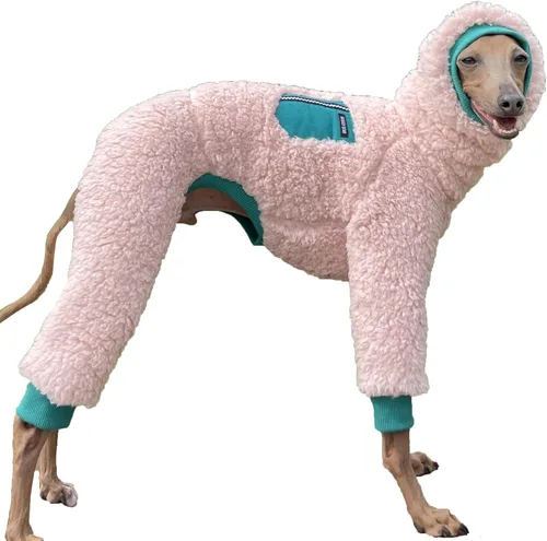 Vista 8 de D Doggy Star - Ropa de galgos italianos, enterizo elástico de neón para primavera y verano (talla S, naranja Onsi)