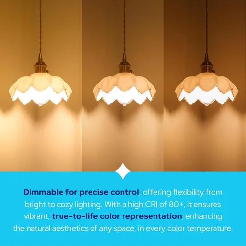 Vista 6 de KastLite Bombilla LED Edison estilo vintage de filamento retrofit, LED-8060E22 regulable 15W 2700LM 2200K 100W HID lámpara equivalente – E26 base