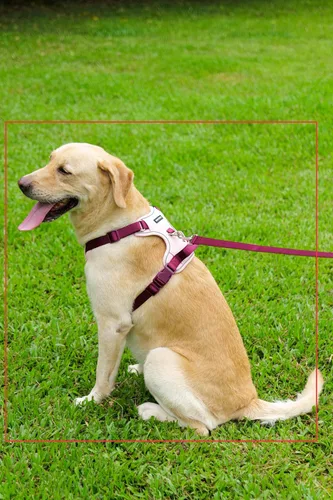 Vista 8 de Juego de arnés rosa con correa para perro, arnés reflectante sin tirones con asa de control, arnés transpirable ajustable para perros pequeños