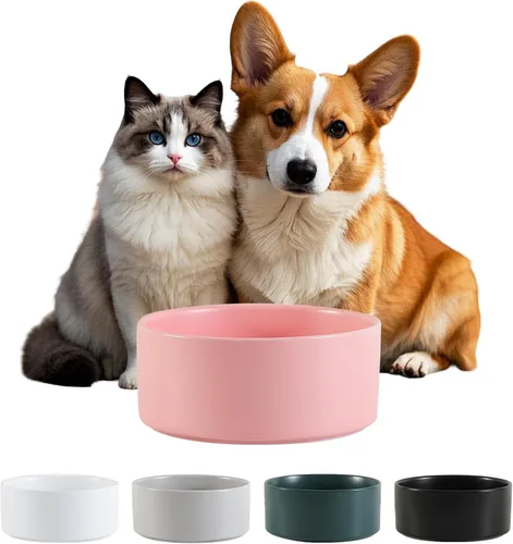 Vista 22 de Cuenco de cerámica para perros para comida y agua, cuenco comedero para mascotas para perros y gatos pequeños, plato de alimentación de cerámica