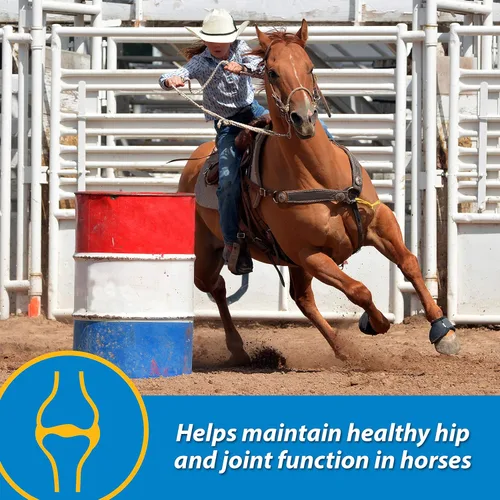 Vista 3 de Farnam Fluidflex Suplemento líquido para articulaciones para caballos, ayuda a mantener una función saludable de cadera y articulaciones, 64 onzas