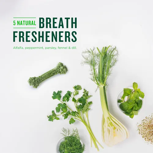 Vista 5 de Minties Masticables dentales para perros, 120 unidades, recomendados por veterinarios, golosinas dentales con sabor a menta para perros