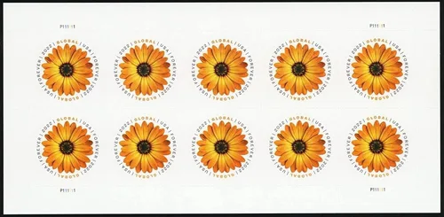 Vista 3 de Sellos postales de margaritas africanas de Global Forever International Mail 2022 (1 hoja, 10 sellos)