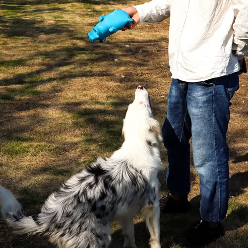 Vista 6 de Juguete de látex que gruñe el sonido del cerdo – Juguete chirriante para perro, 8 pulgadas