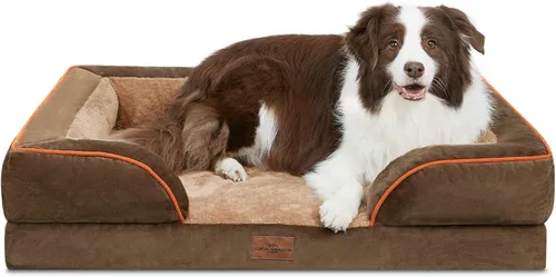 Vista 81 de Comfort Expression - Cama ortopédica para perros pequeños, 20 x 14 pulgadas, cama impermeable y de apoyo de espuma con cojines removibles, sofá