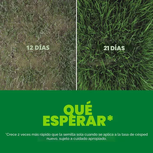 Vista 6 de Scotts Turf Builder Rapid Grass Sun & Shade Mix, 2.4 lbs.