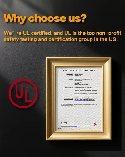 Vista 7 de Tira de luces LED superbrillantes para exteriores, bombillas S14 de 48 pies (1 repuesto), IP65 impermeable, grado comercial e inastillable