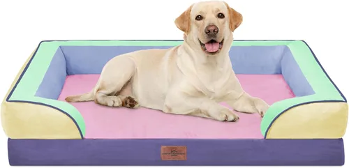 Vista 170 de Comfort Expression - Cama ortopédica para perros pequeños, 20 x 14 pulgadas, cama impermeable y de apoyo de espuma con cojines removibles, sofá