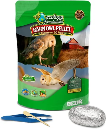 Vista 7 de NW Barn - Kit de disección de excrementos de búho (incluye instrumental e ilustraciones educativas)