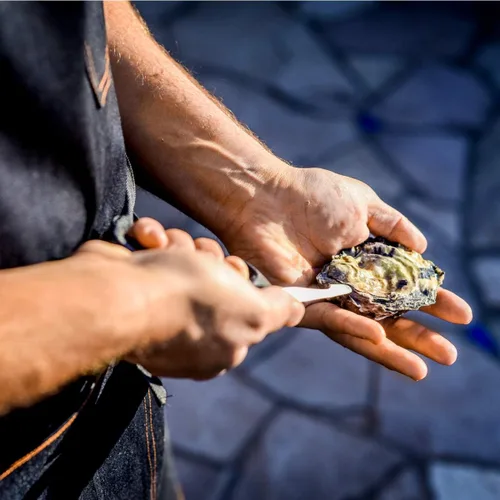 Vista 7 de Cuchillos Rockland Guard para abrir ostras - Cuchillo para abrir ostras para abrir almejas, vieiras, mariscos - Hoja de acero inoxidable, mango
