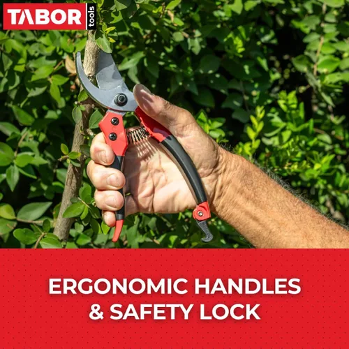 Vista 4 de Herramientas S821 profesional Tabor de Sharp Bypass. Tijeras de podar, hacen cortes precisos, excelentes para manos pequeñas y medianas Secateurs