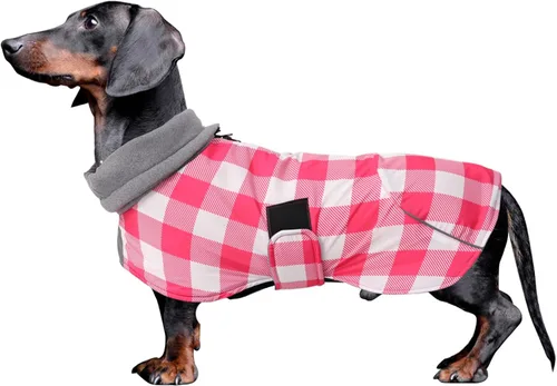Vista 31 de Abrigos de perro salchicha impermeables, perfectos para perros salchichas, salchichas, abrigo de invierno para perro Weiner con forro polar