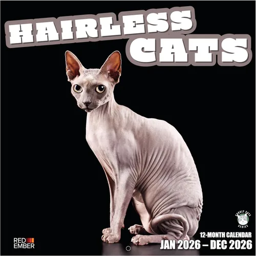 RED EMBER Hairless Cats - Calendario de pared 2026 de 12 meses, 12 x 24 pulgadas, abierto, papel grueso y resistente, para regalo, calendario 2026