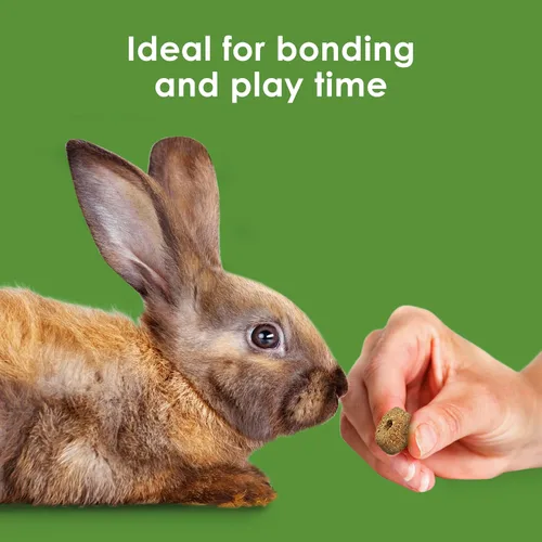 Vista 4 de Kaytee Timothy Biscuits Golosinas Horneadas con Manzana para Conejos, Cobayas, Chinchillas, Hámsters, Jerbos y Ratones, 10 oz