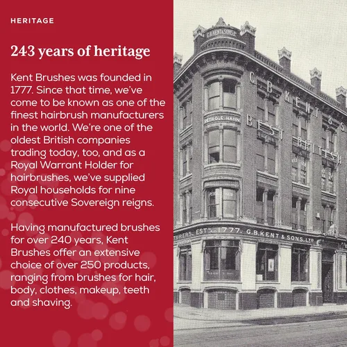 Vista 8 de Kent ARTH1 - Cepillo de pelo para bebés, cepillo para niños, cepillos pequeños para cabello y cepillo de viaje, desenredante de cabello con cerdas