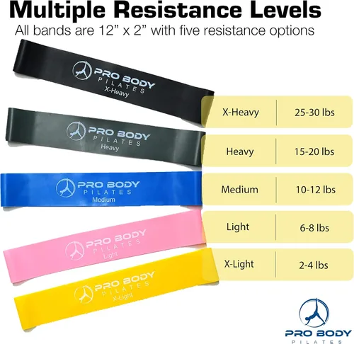 Vista 7 de ProBody Pilates Juego de anillos con anillo de círculo mágico de 14 pulgadas, pelota de ejercicio de 9 pulgadas, 5 bandas de resistencia, bomba