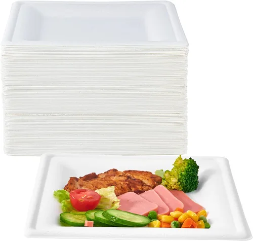 Vista 9 de ECOLipak Paquete de 100 platos cuadrados compostables, platos de papel desechables de 10 pulgadas hechos de caña de azúcar, ecológicos, resistentes