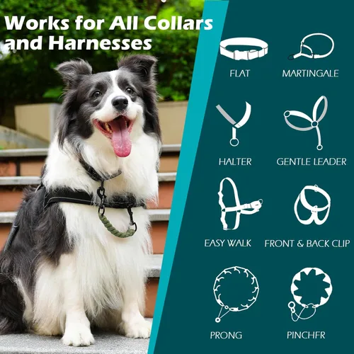 Vista 8 de PetBonus 2-Pack Silicone Collapsible Dog Bowls and Dog Collar Safety Clip