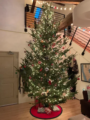 Vista 5 de Goliath Soporte de acero soldado para árbol de Navidad para árboles vivos de 5 a 12 pies