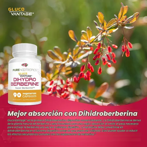 Vista 4 de Pure Nootropics Suplemento de dihidroberberina (GlucoVantage) 100 mg, 90 Super berberina, biodisponibilidad mejorada, cápsulas vegetarianas pequeñas