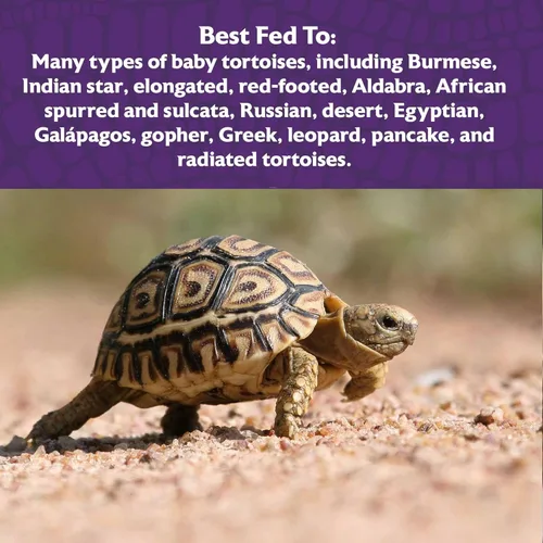 Vista 4 de Mazuri Alimento de tortuga juvenil para tortugas bebé Bolsa de 8 onzas (8 onzas)