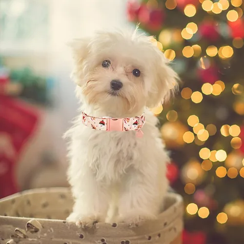 Vista 4 de Collar de Navidad para perro, collar de algodón para cachorros, hembras, perros o gatos, cómodo collar para perro con hebilla de metal duradera