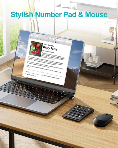 Vista 2 de Lekvey Bloc numérico inalámbrico, teclado numérico y mouse, portátil delgado de 2.4 GHz, USB inalámbrico de 10 teclas, teclado Numpad para laptop