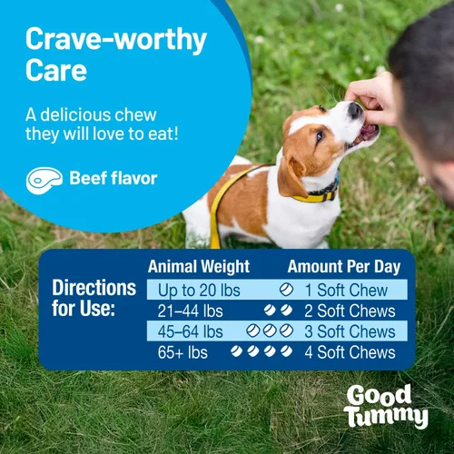 Vista 7 de Good Tummy - Masticables probióticos para perros – Apoya la salud digestiva, controla los gases, promueve la función inmune saludable – Sabor a