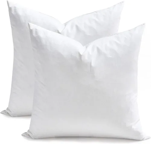 TOPGREEN Rellenos de Almohada de Plumas y Plumón 12 x 12 pulgadas, Juego de 2, Funda de Algodón 100% Orgánico, Almohadas Decorativas Cuadradas