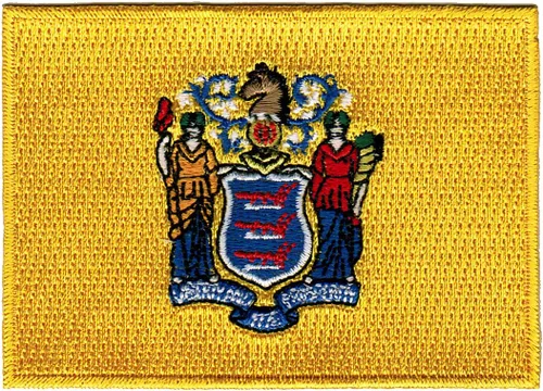 Vista 38 de Parche Bordado de la Bandera del Estado de Minnesota, Emblema MN, Planchado, Versión 2024