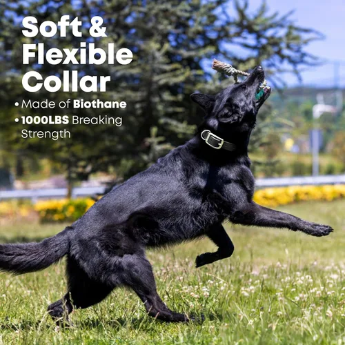 Vista 5 de Regal Dog Products Collares de perro pequeños negros impermeables con placa de nombre personalizada grabada Collar de perro de Biothane