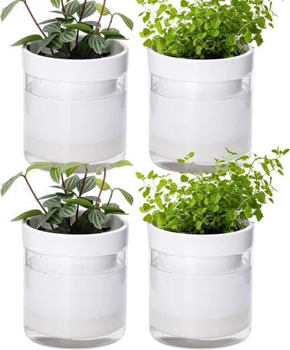 Vista 21 de Phoenix Vine Macetero de terracota de riego automático de 4 pulgadas, maceta de arcilla de terracota negra con depósito de vidrio para plantas