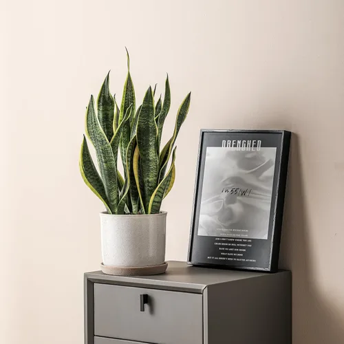 Vista 23 de Macetas de 5.8 pulgadas: maceta de cerámica con orificio de drenaje y platillo - Maceta para plantas de interior y exterior - Diseño con cuentas