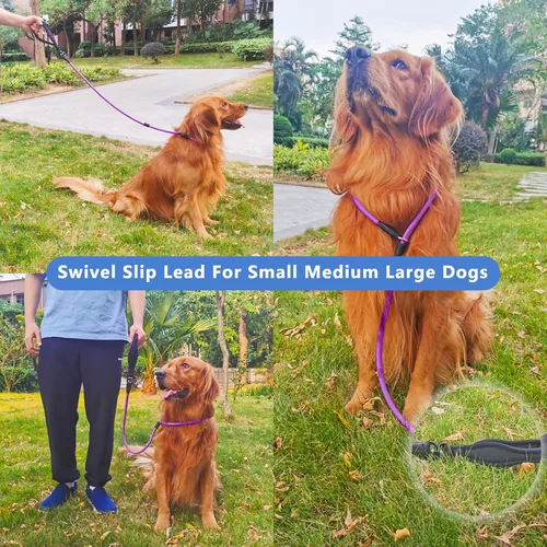 Vista 8 de Heydoggy Correa antideslizante para perro, resistente correa de entrenamiento de 4 pies/6 pies [360 giratorio antienredos ] nailon duradero sin Negro