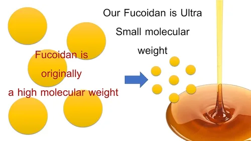 Vista 2 de [Bebida Fucoidan de peso molecular ultra bajo] Hecho en Japón Jugo Mozuku de algas marrones 60.9 fl oz (63.35 fl oz) (sin azúcar)